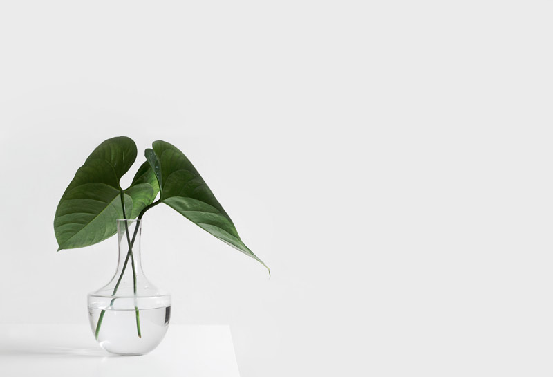 simple-contract-management-software-a-game-changer-for-modern-businesses